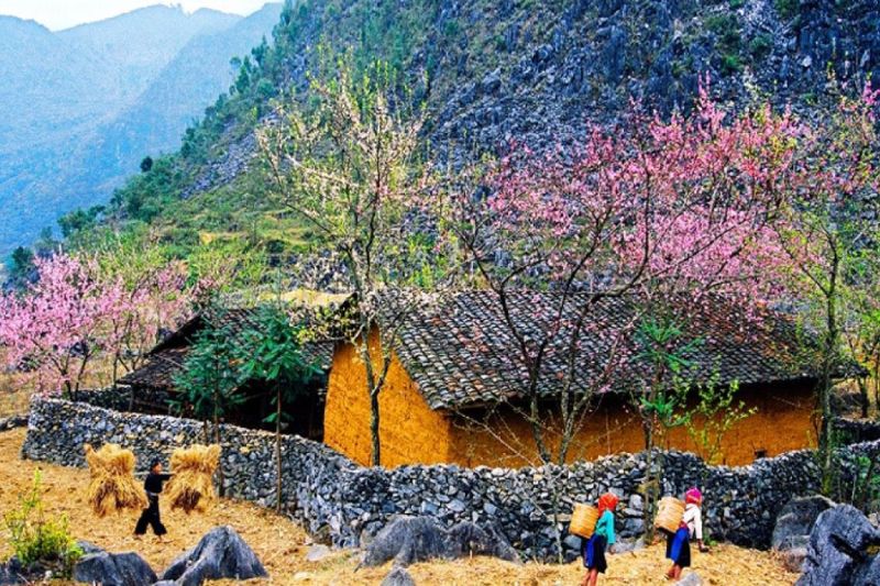 A detailed experience of Tour Ha Giang for 3 days and 2 nights